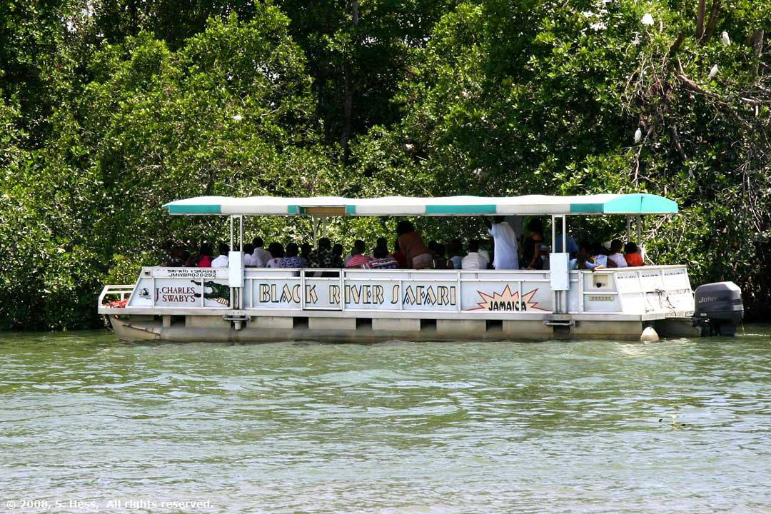 Tourists exploring Jamaica's Black River, teeming with rich natural habitats.