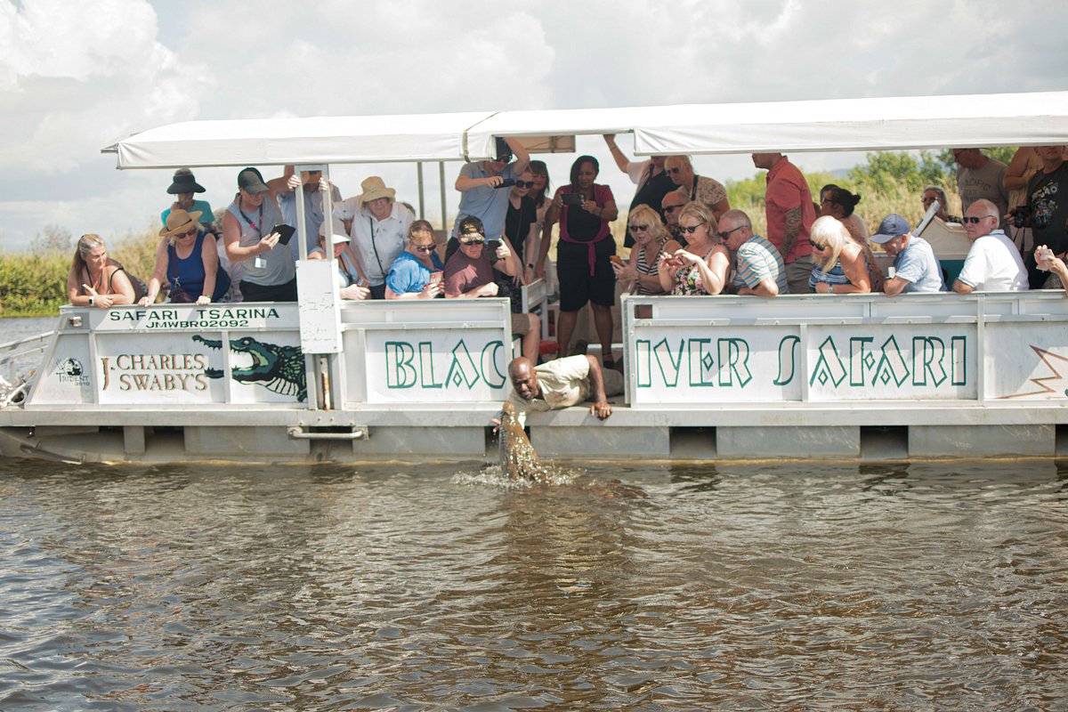 A group of guests enjoying a scenic boat ride on the calm black river in Jamaica, surrounded by lush greenery and vibrant wildlife, capturing the serene beauty of the tropical landscape.