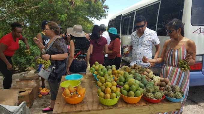 Vendor selling colorful tropical fruits in Montego Bay