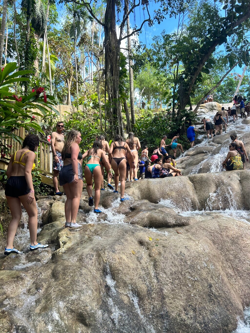 Visitors Climbing Dunn's River Falls – Exciting Ocho Rios Adventure