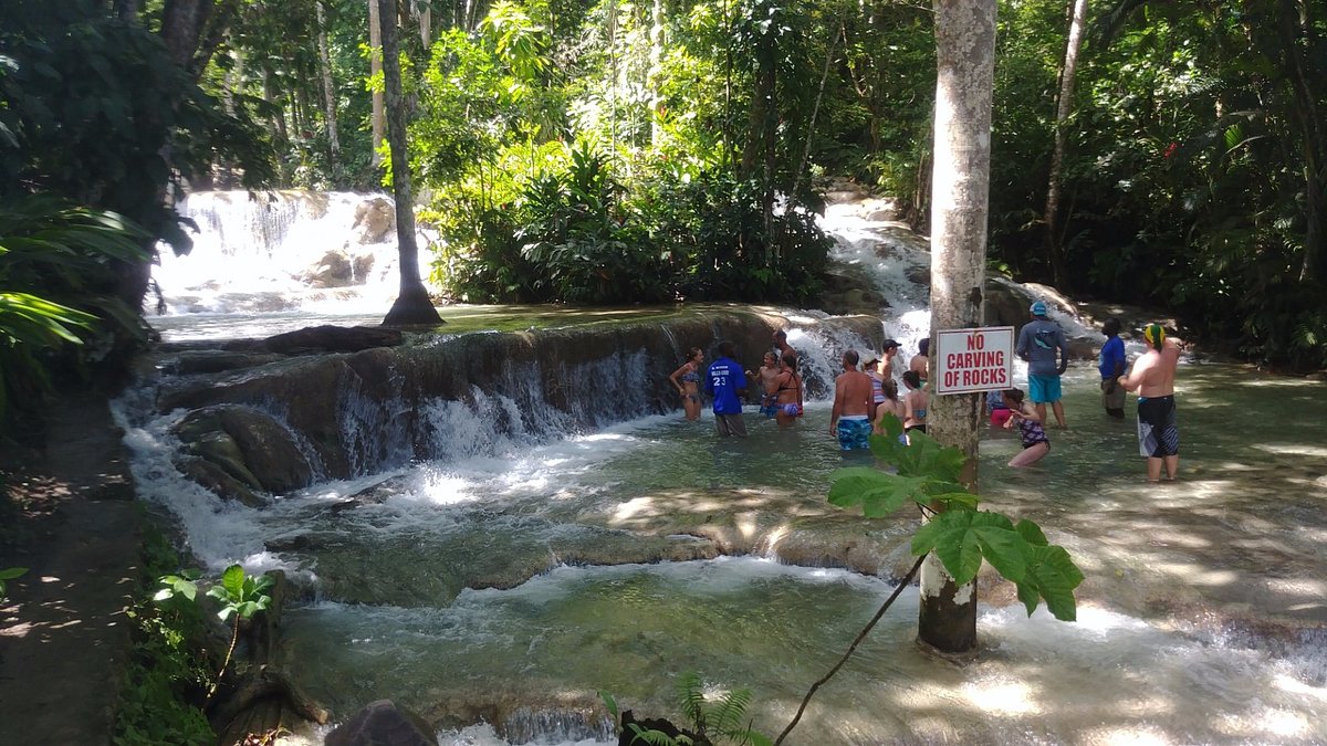 Visitors Climbing Dunn's River Falls – Exciting Ocho Rios Adventure