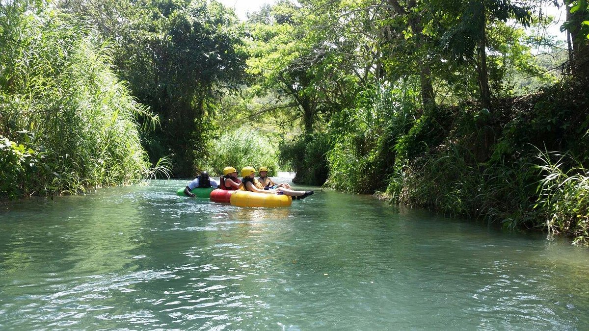 Image of a vibrant jungle landscape along Rio Bueno River, dotted with lush vegetation.