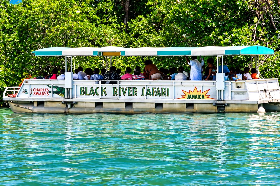 Black River Safari boat tour through Jamaica's tropical mangroves